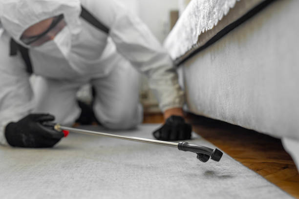 Professional Bed Bug Control technician working in Norfolk city County, VA